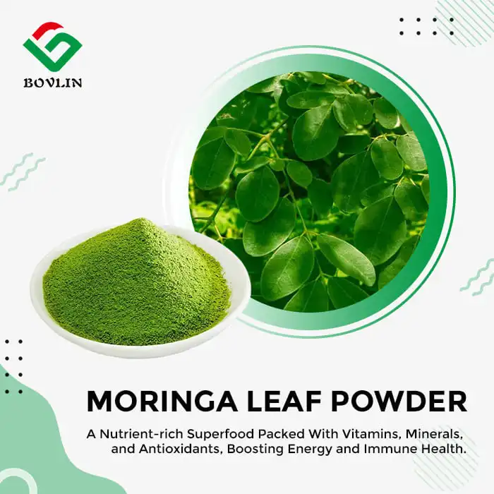 Pure Moringa Leaf Powder